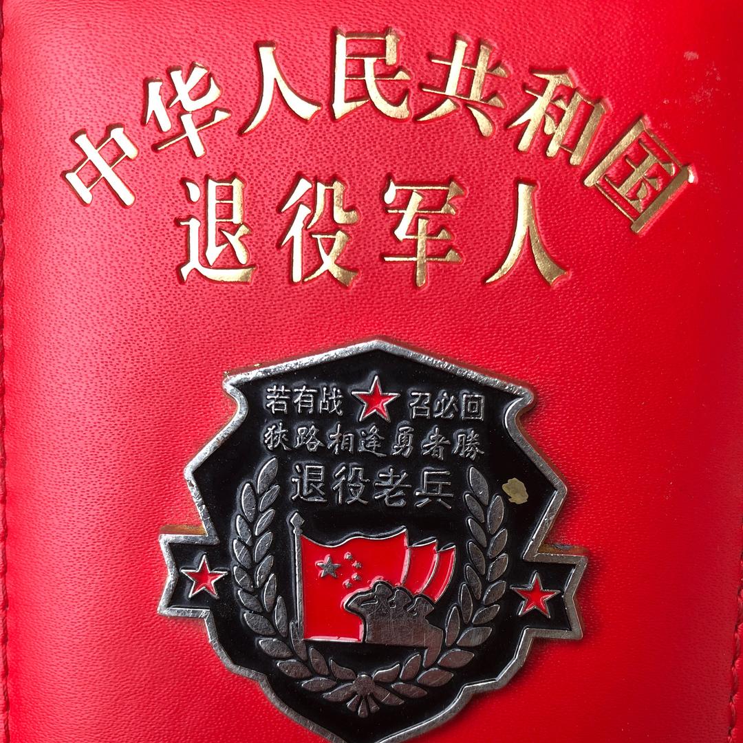 wujing向军旗敬礼.崔