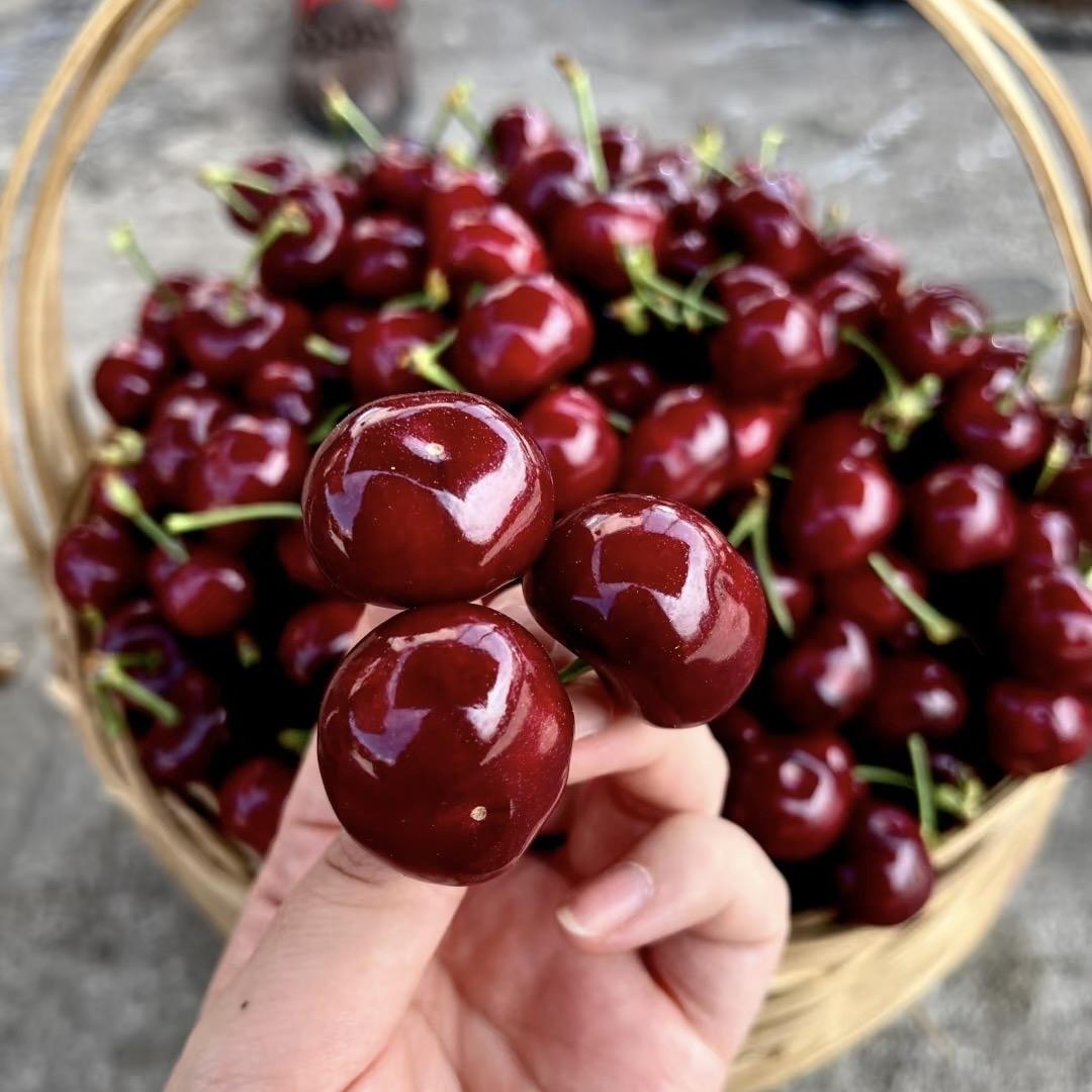 果未来生鲜水果