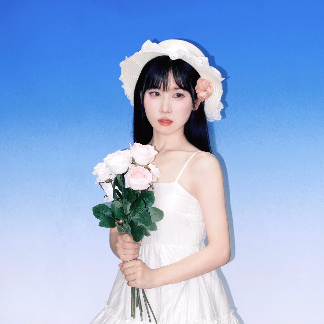 天才大白菜