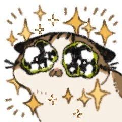 山雨行舟（12.20演唱会版）