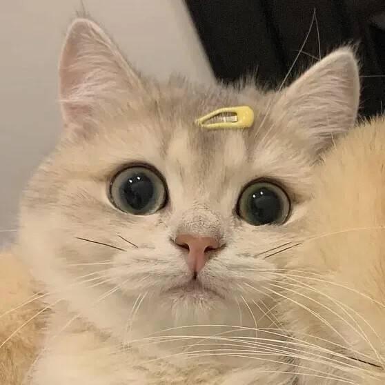 垚儿垚🤩
