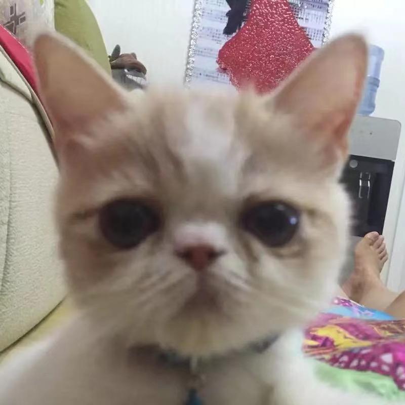 **大白的逆袭之路