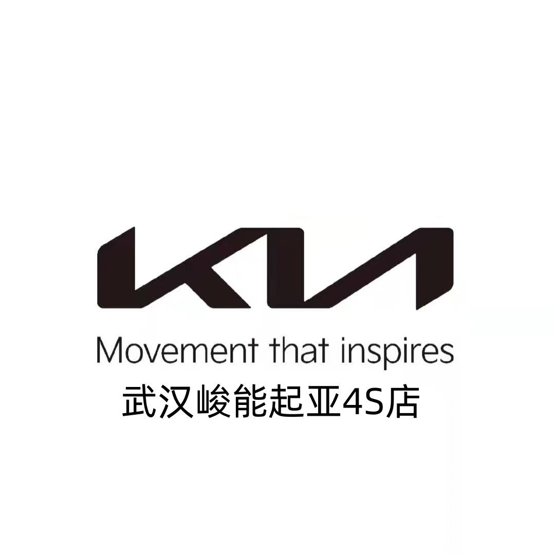 武汉峻能起亚