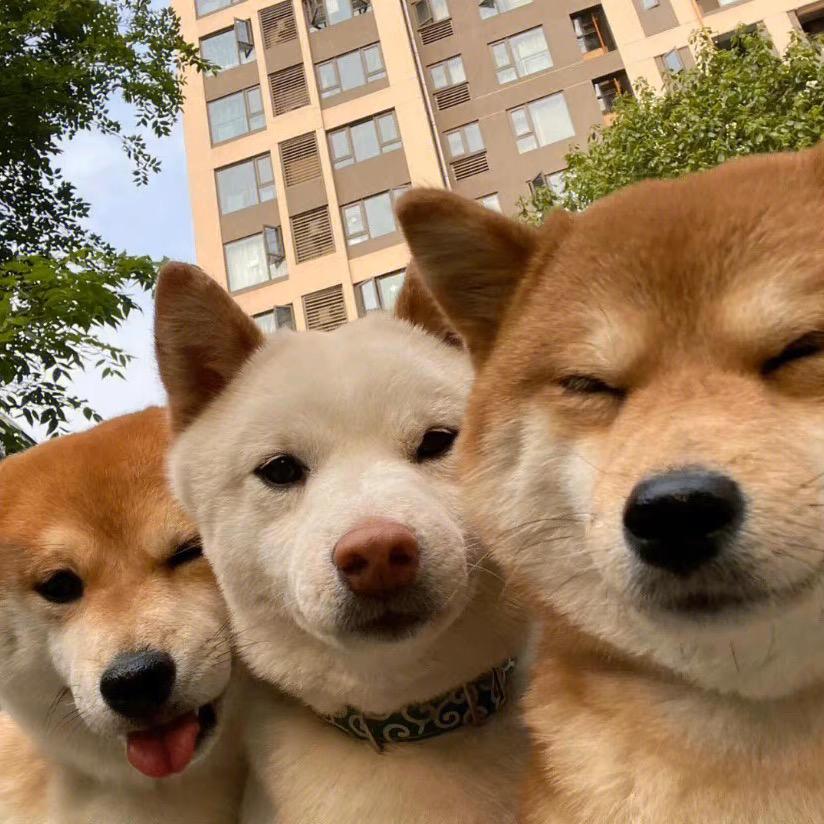 锦锦².².¹