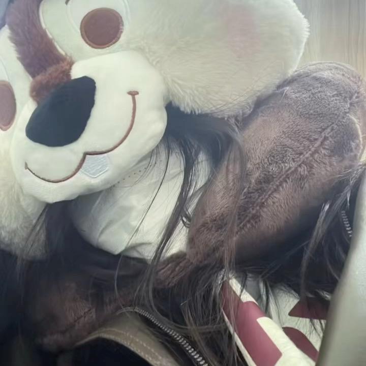 小透明🫥