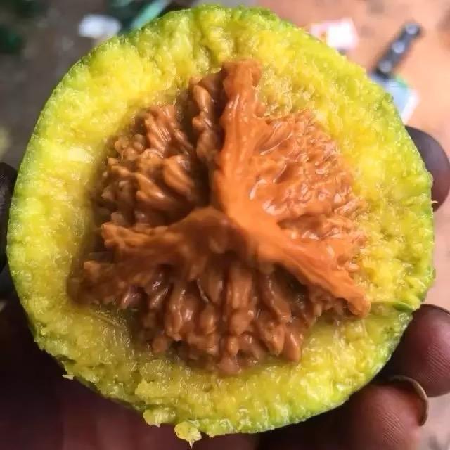 青皮王者