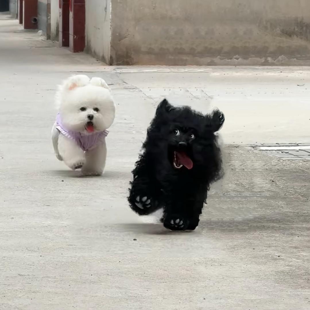 好像，，，，