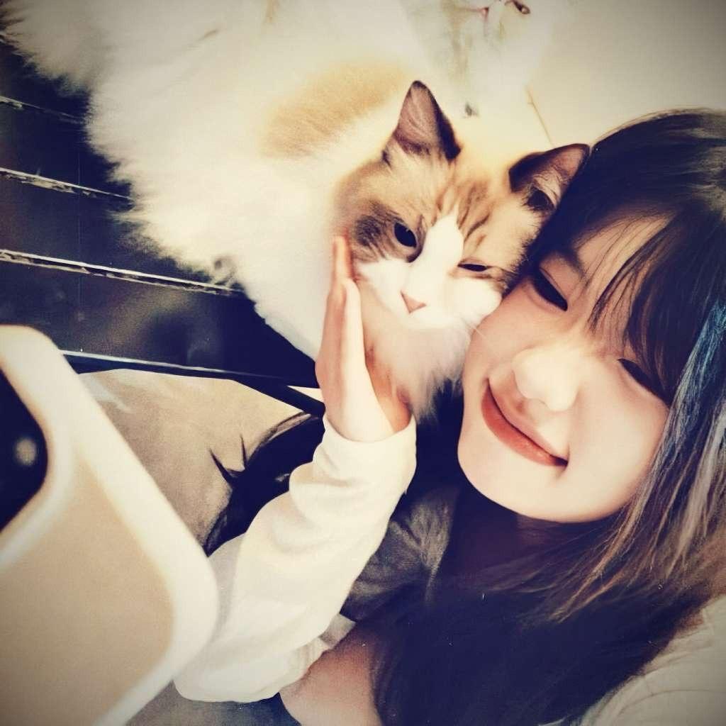 糯米小菜宝