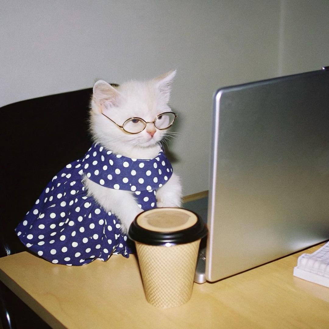 小雨怎么了(自律版)