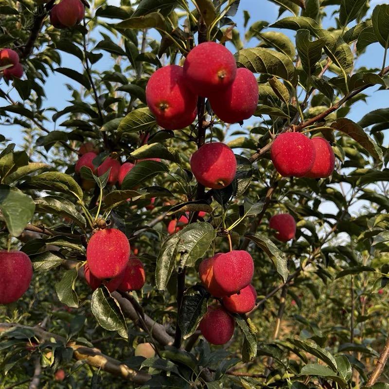 宏璐农品优品店