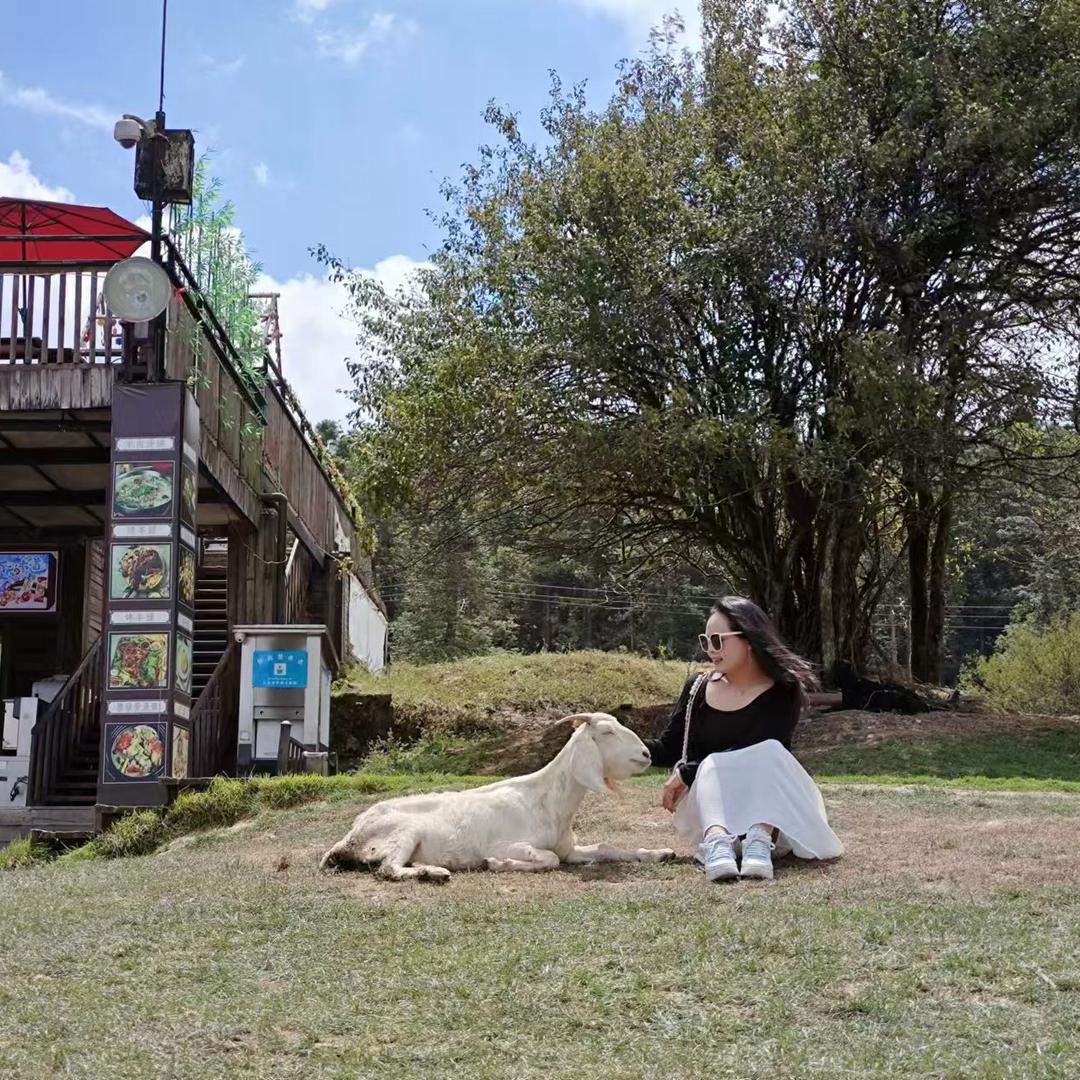 ふ晴天