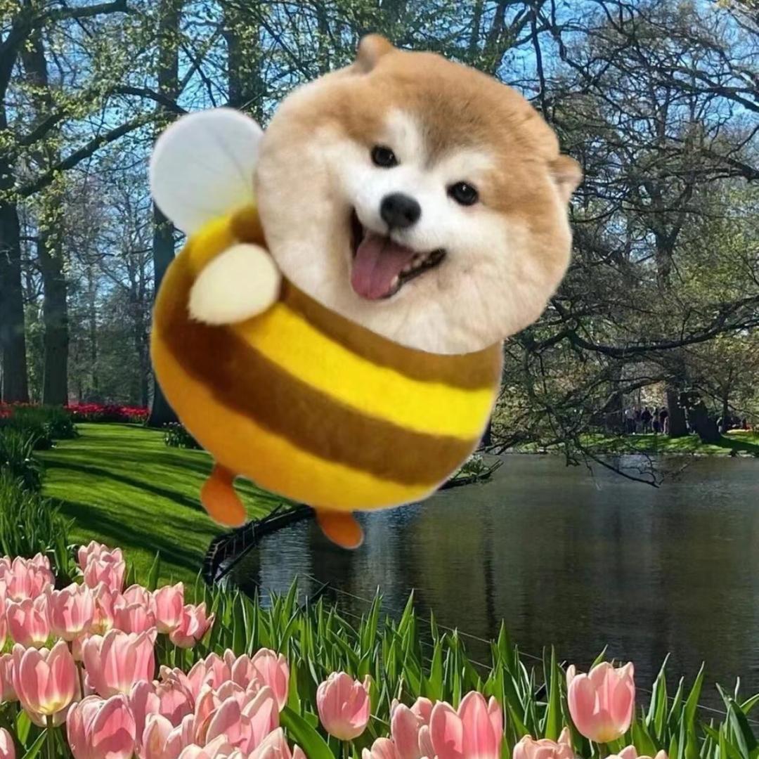 你给我出去