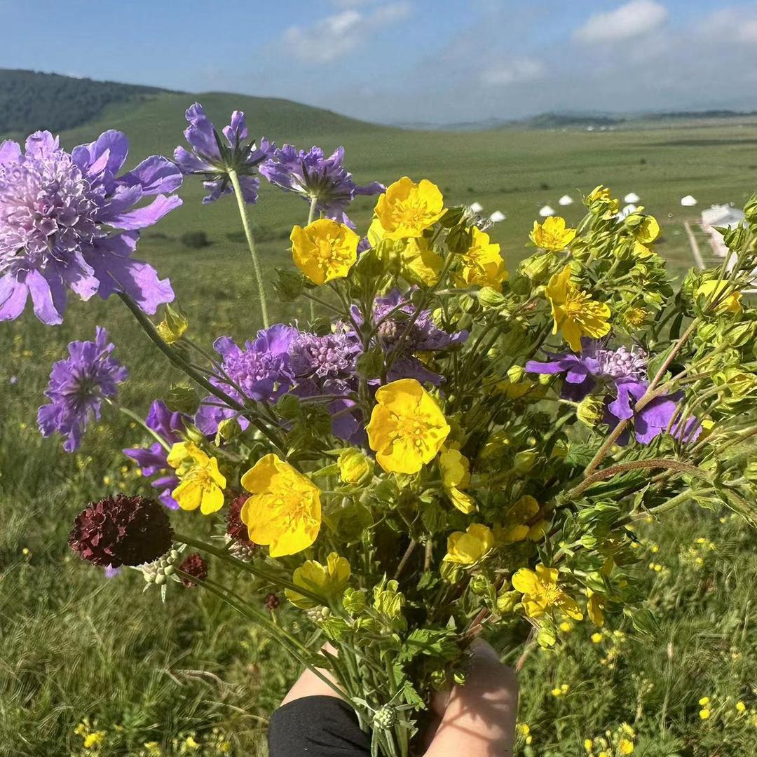 平安吉祥，康健财涌