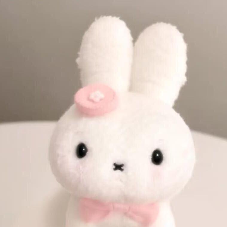 小率