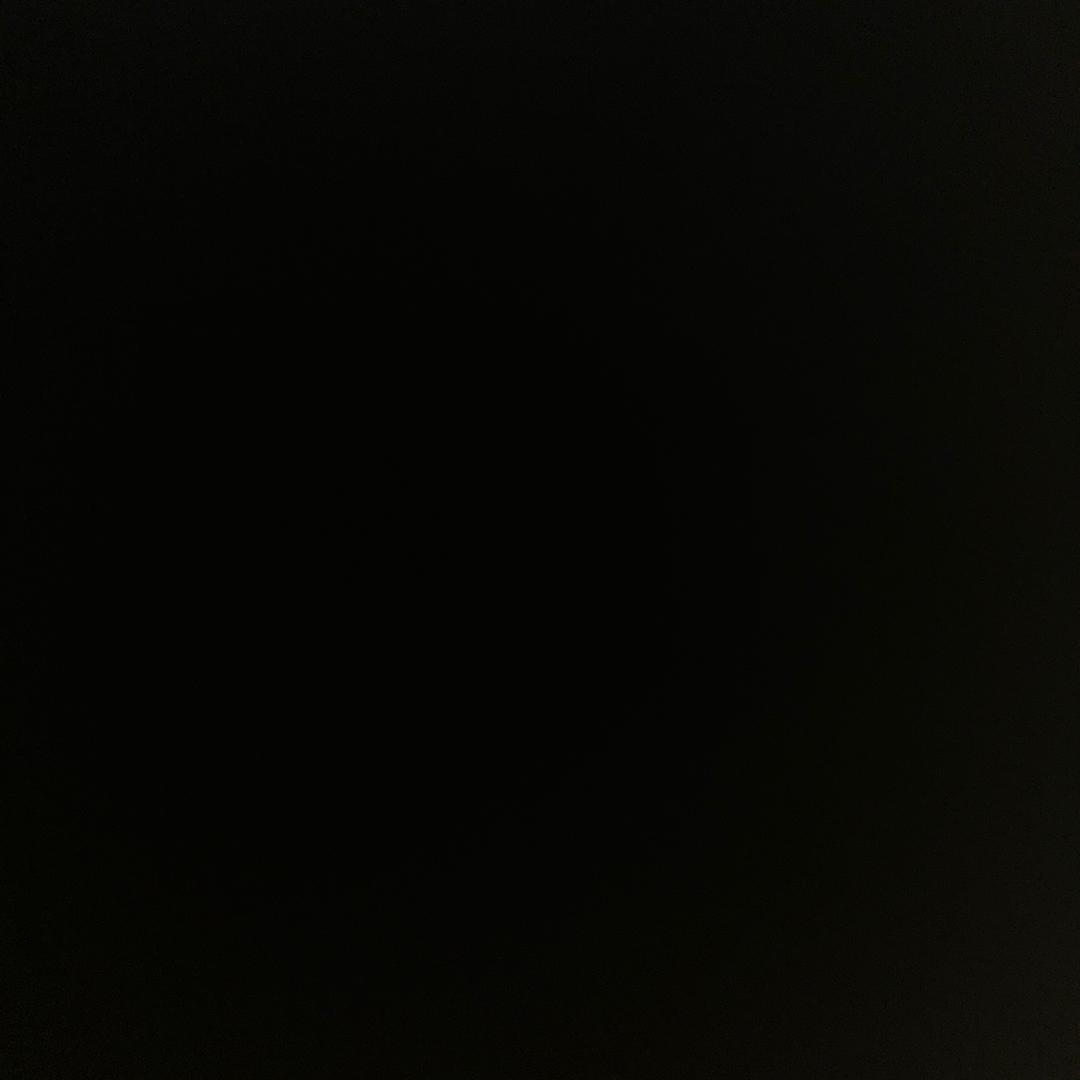 6010