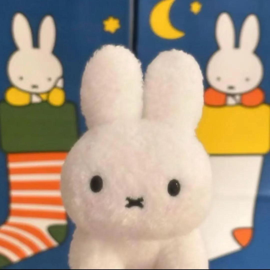 小耿