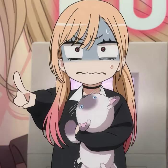 加菲猫