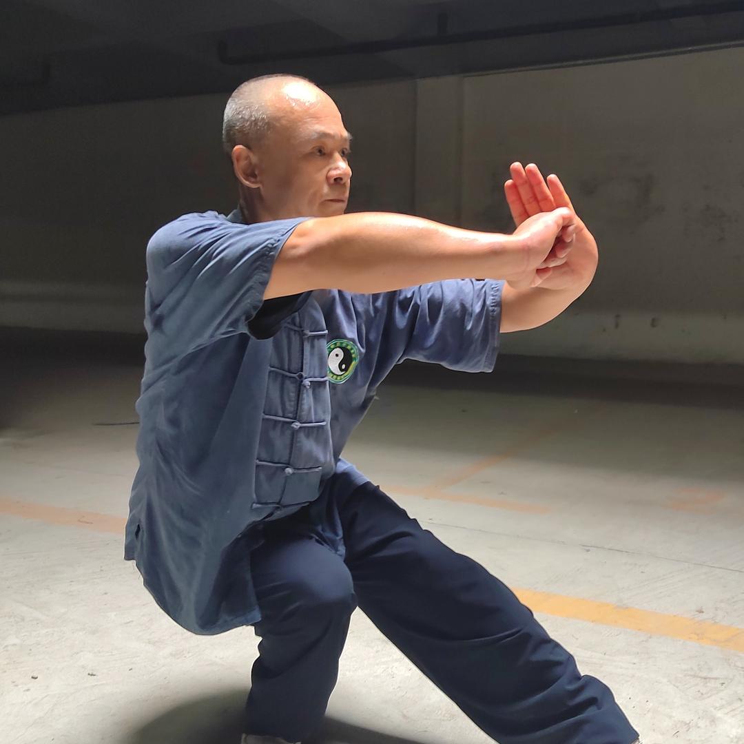 八极拳传承田忠明