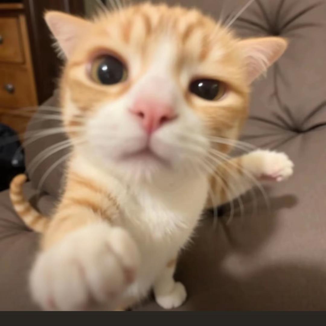 赴