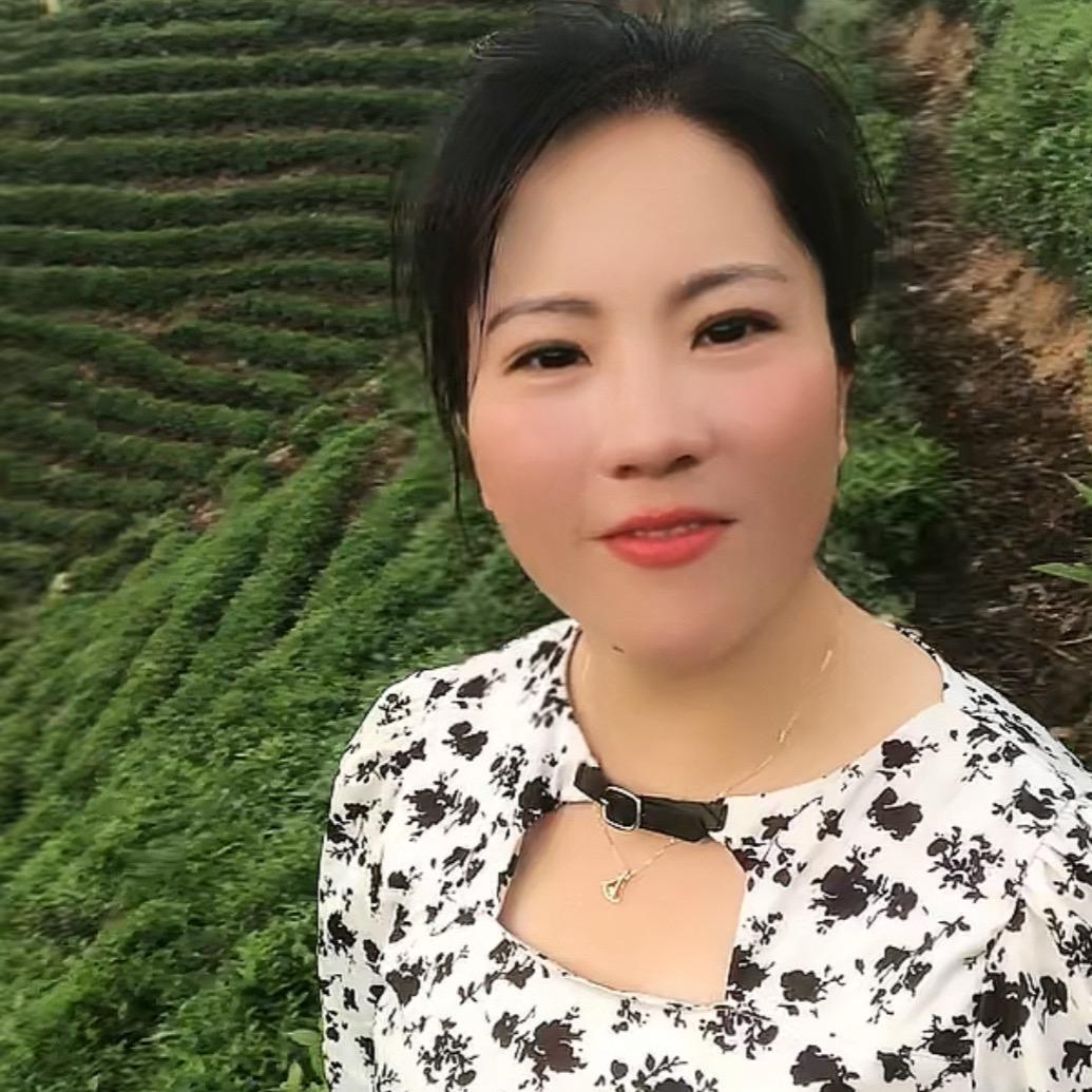 信阳毛尖谢辉