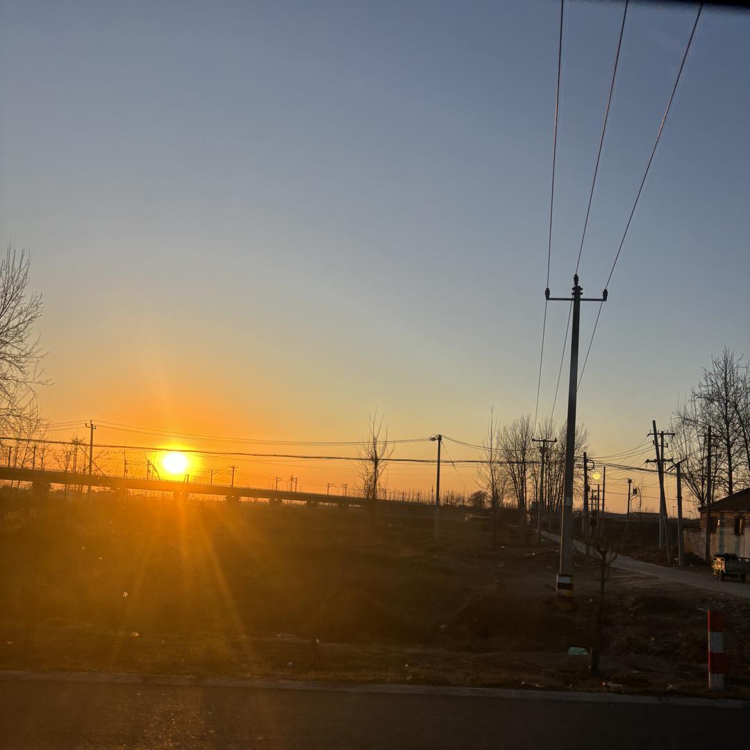 东成李王飞电动工具优选