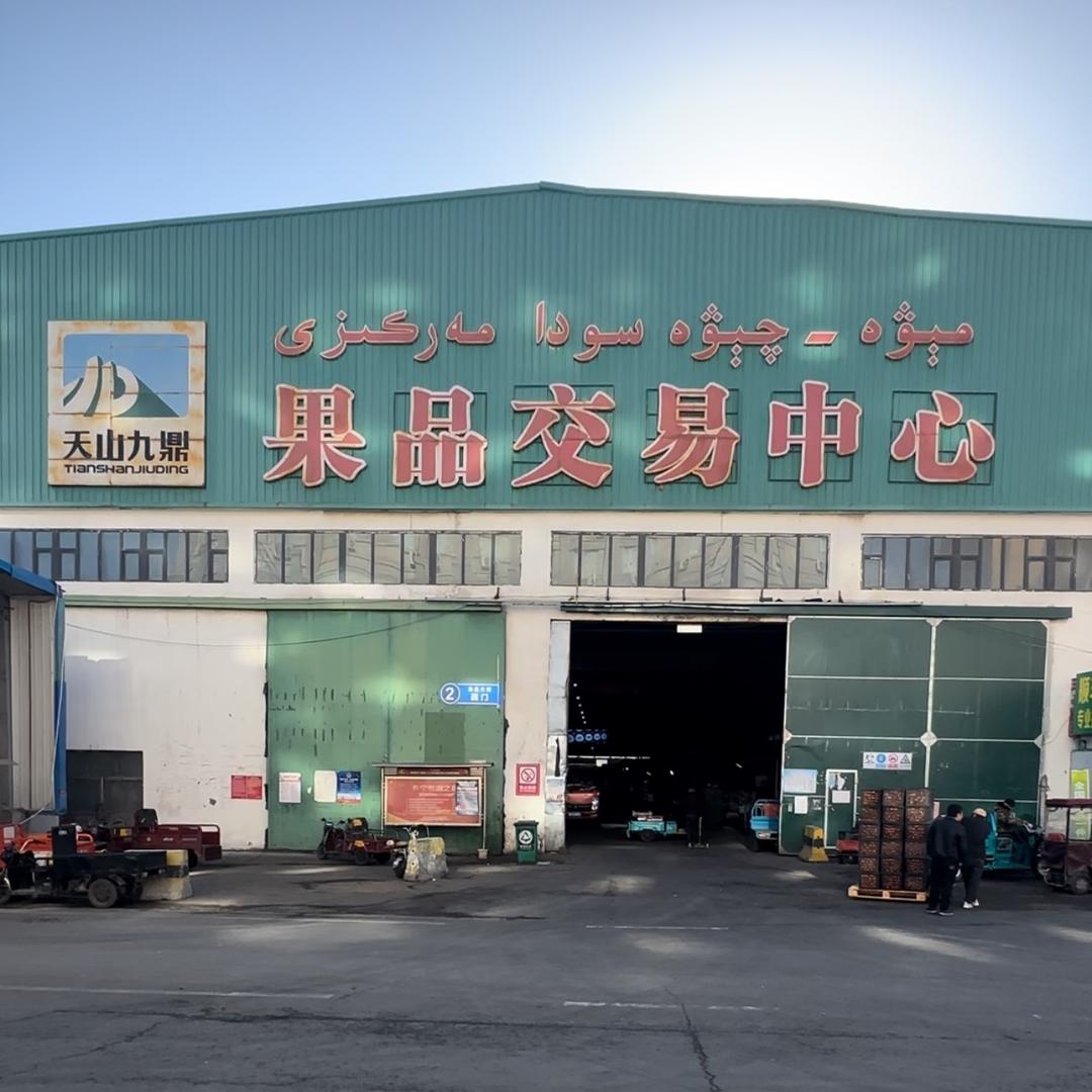 九鼎水果每日价格