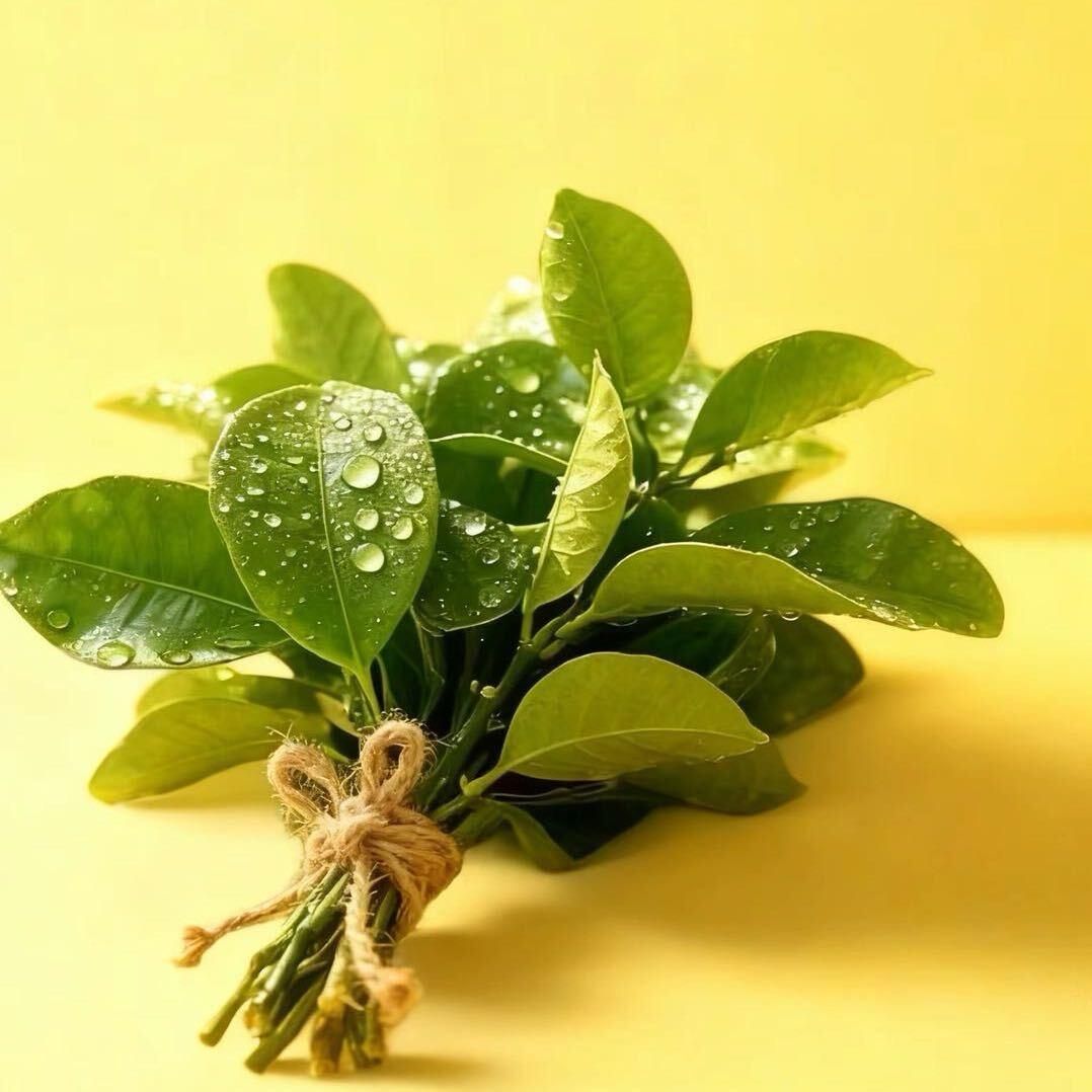 元气满满的福气满满