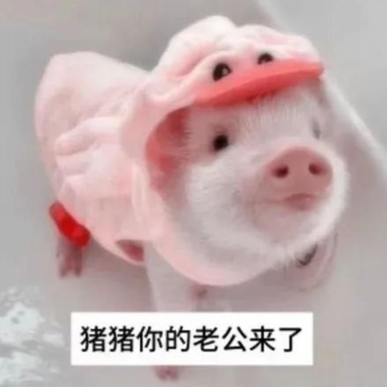 四叶草的花语🍀