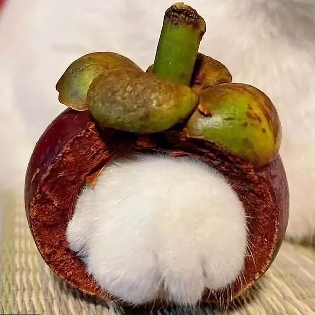 谷谷纪农货小铺