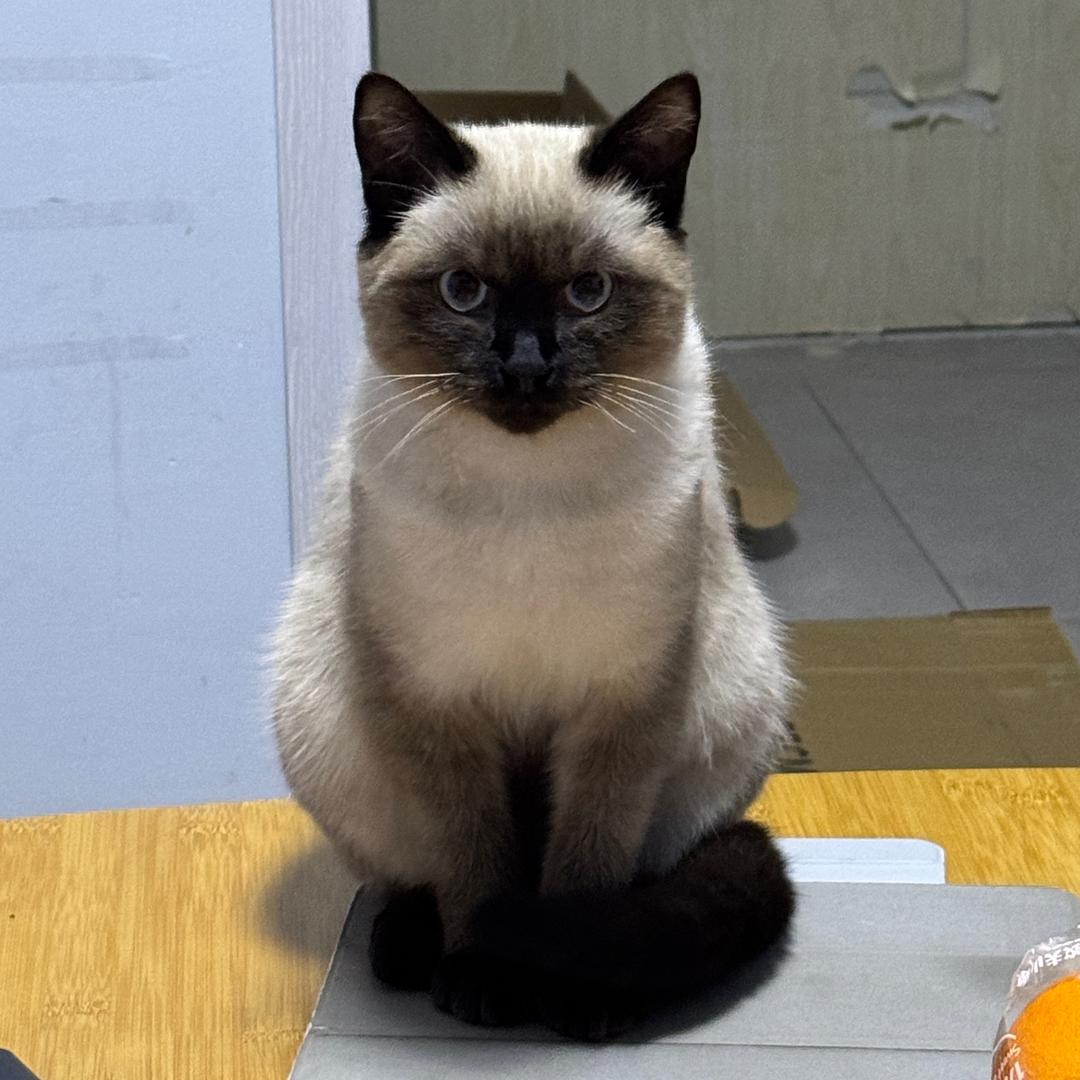 7️⃣2️⃣1️⃣