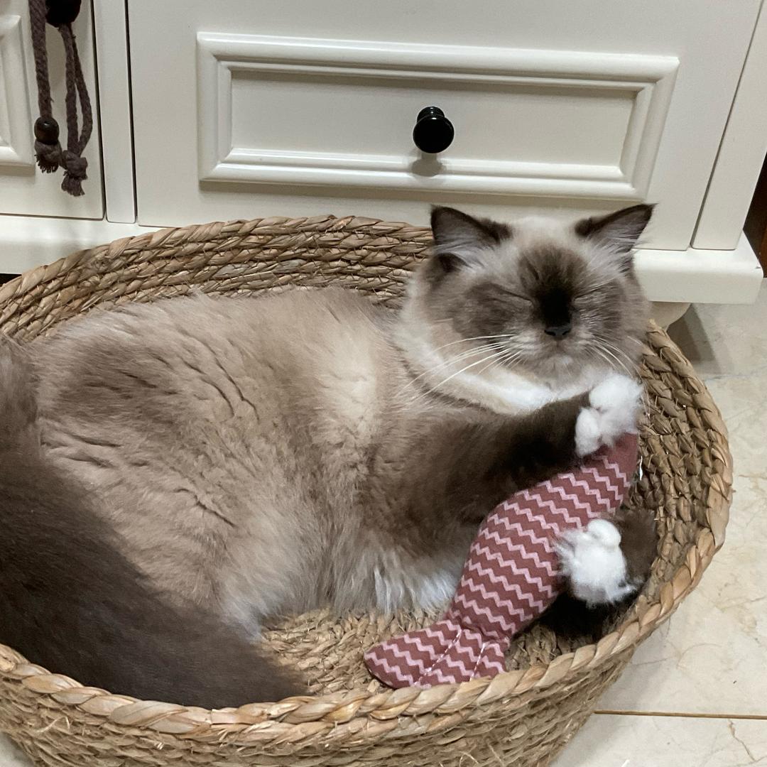 兜兜转转又一天