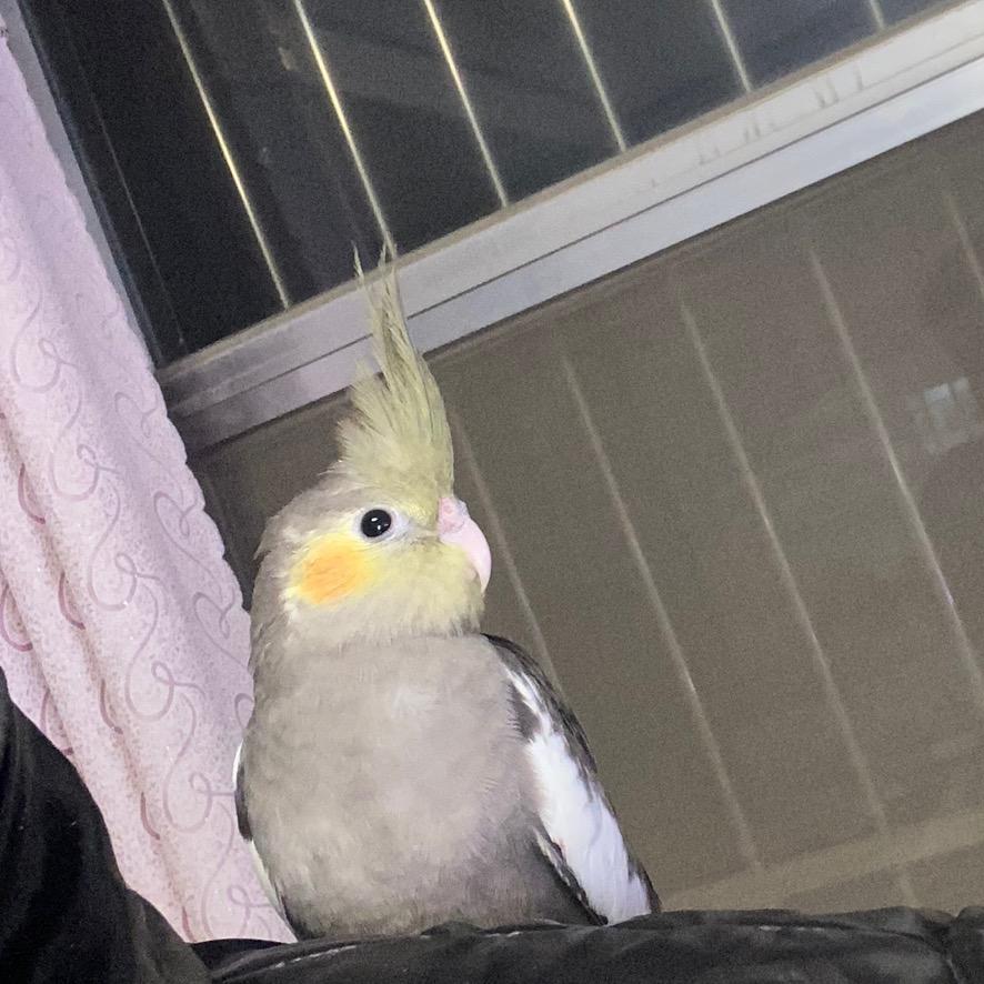 拾贰古文化合作社