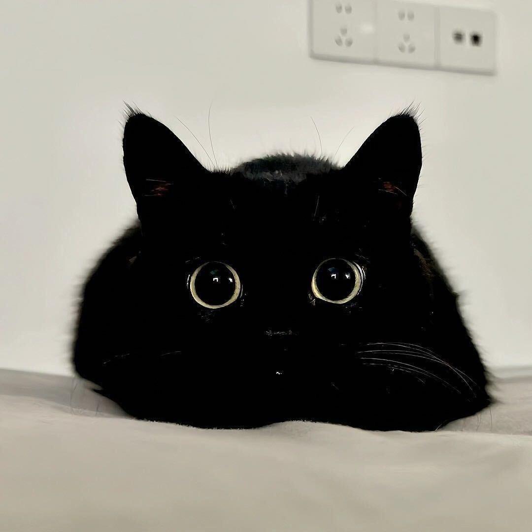 A.