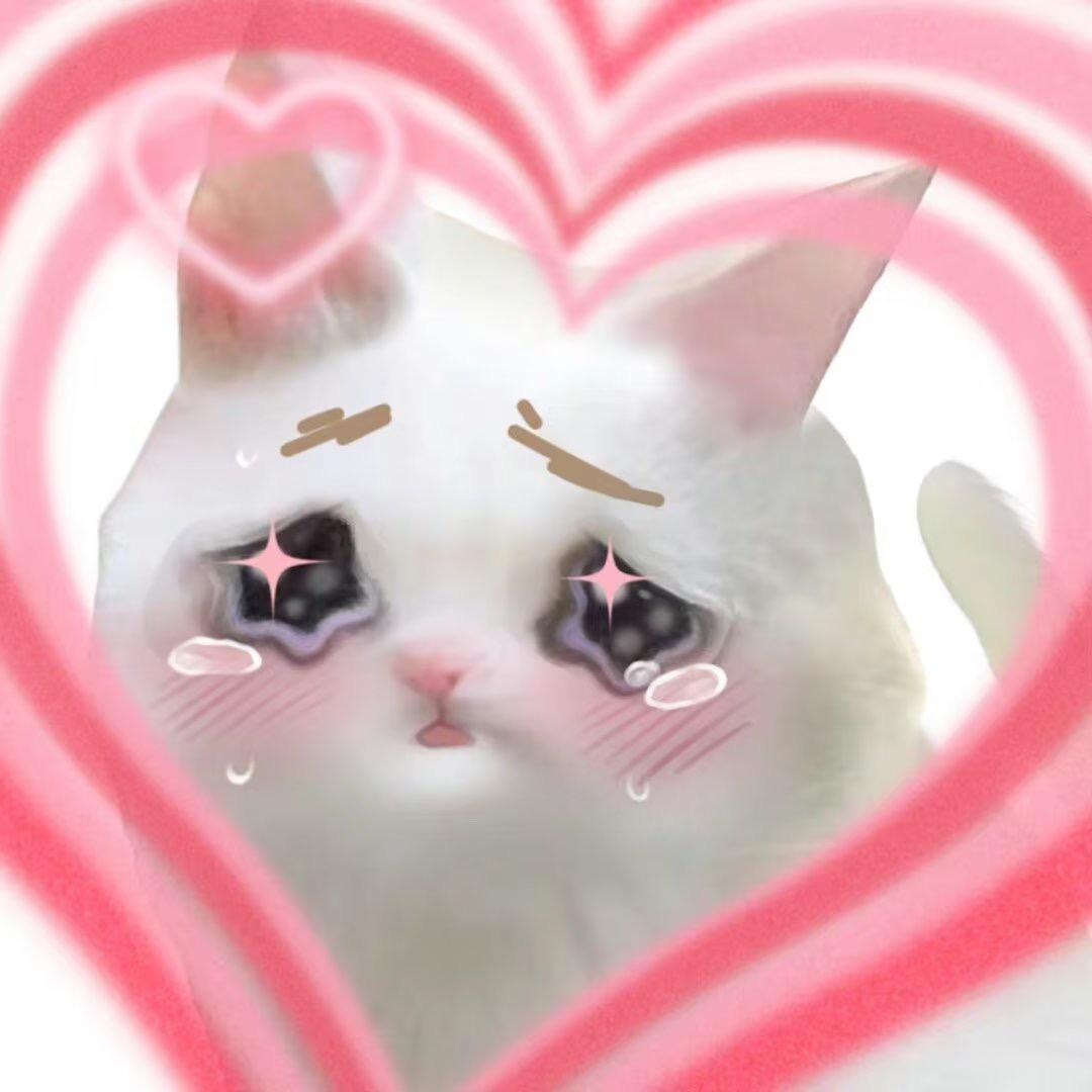 爱吃三紋鱼的猫