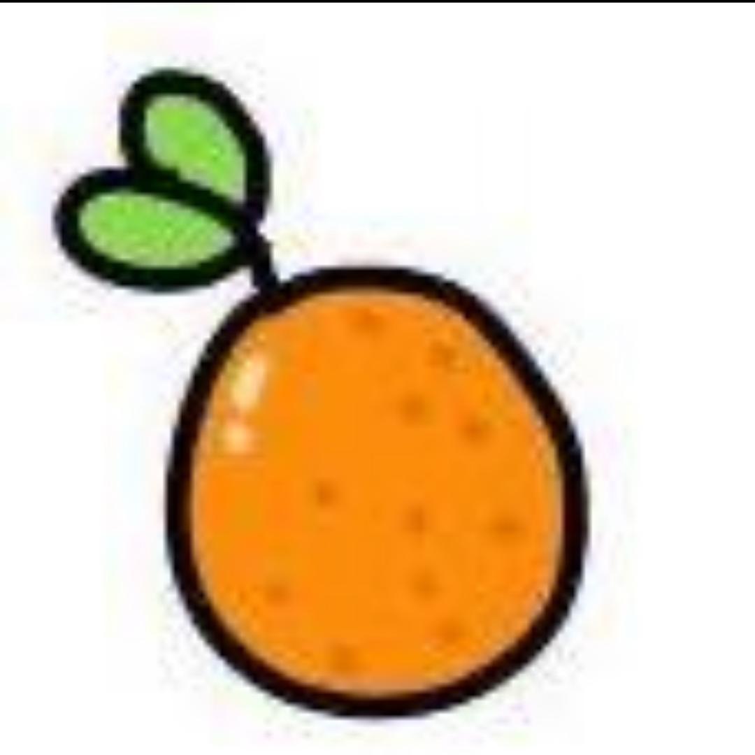 小橙子🍊.