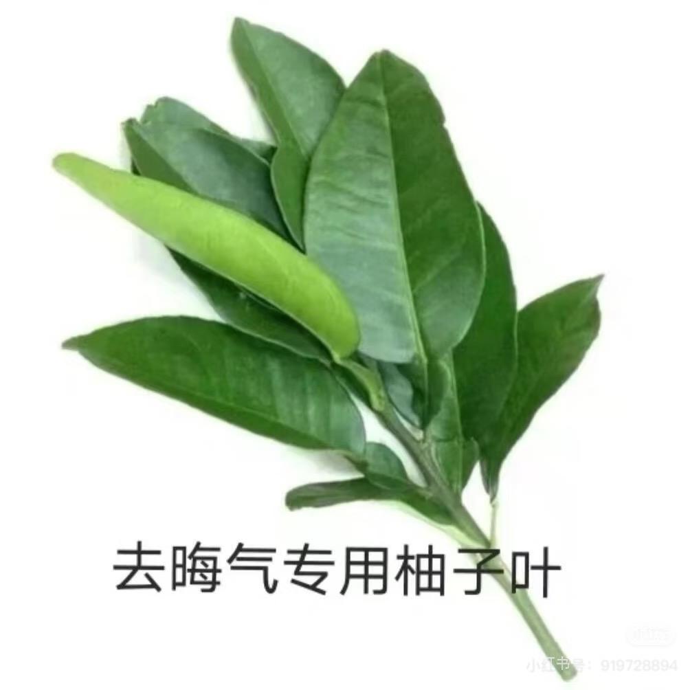 集合
