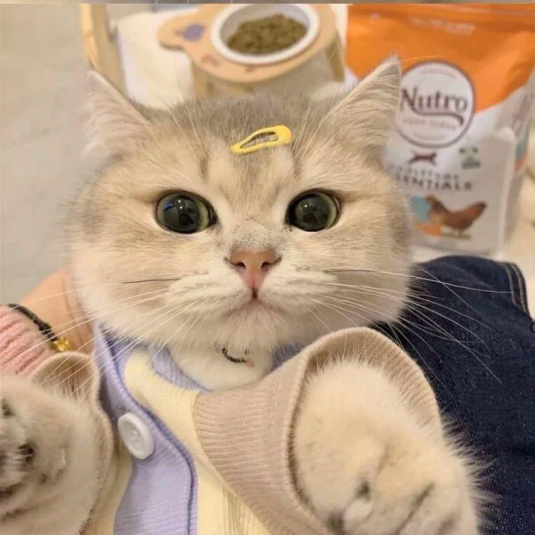 404🦄️