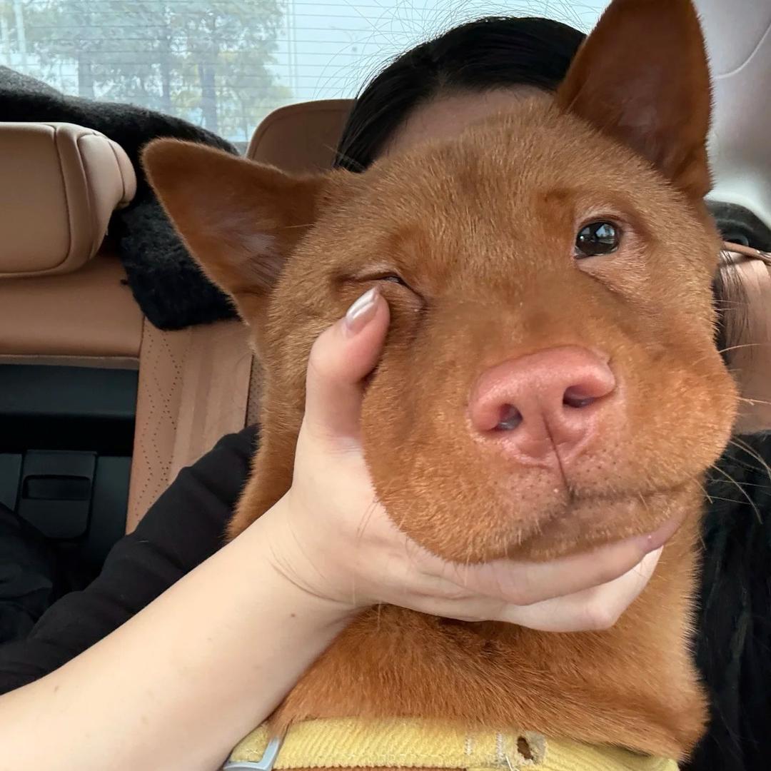 嘻嘻😜