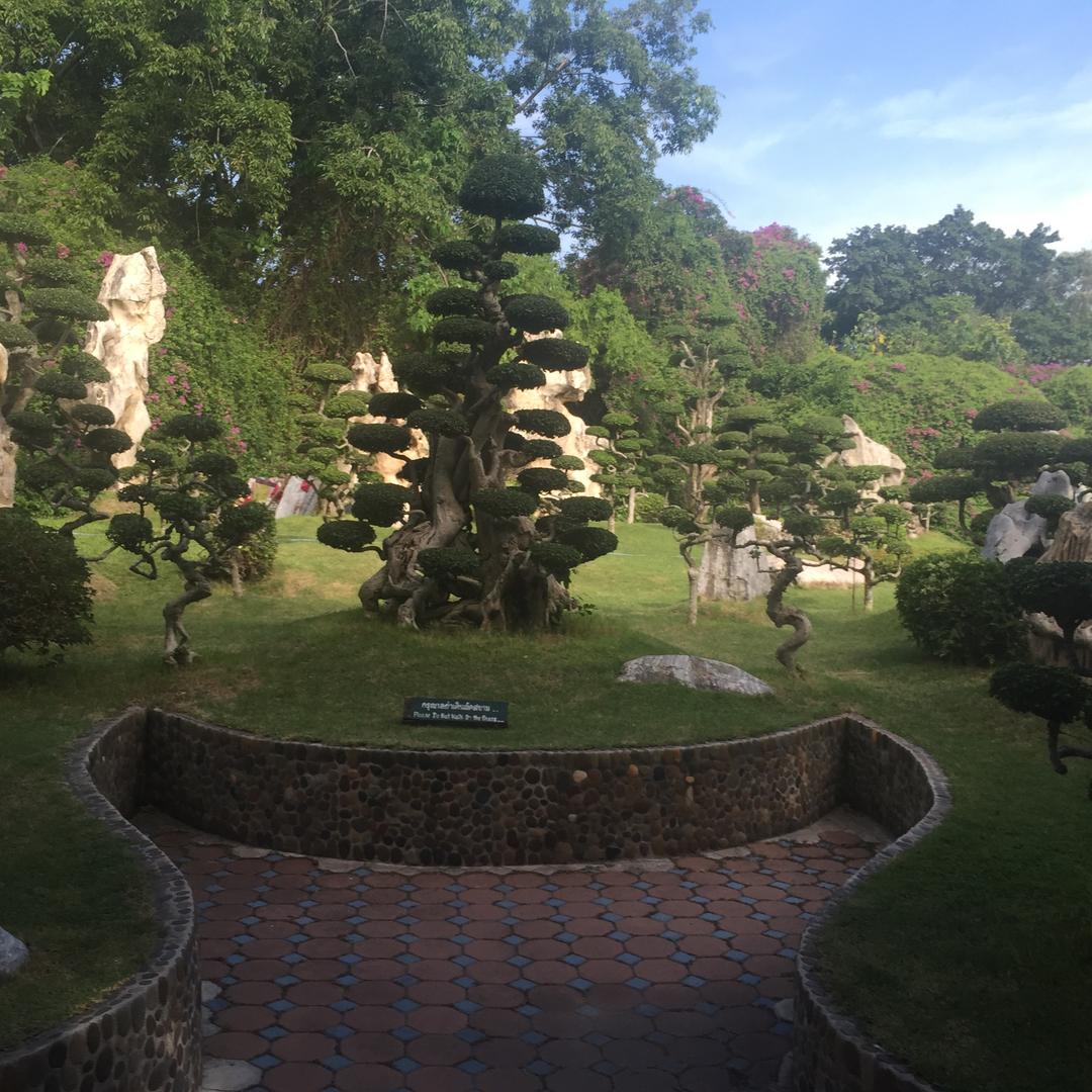 上海速贝卡～莎莎