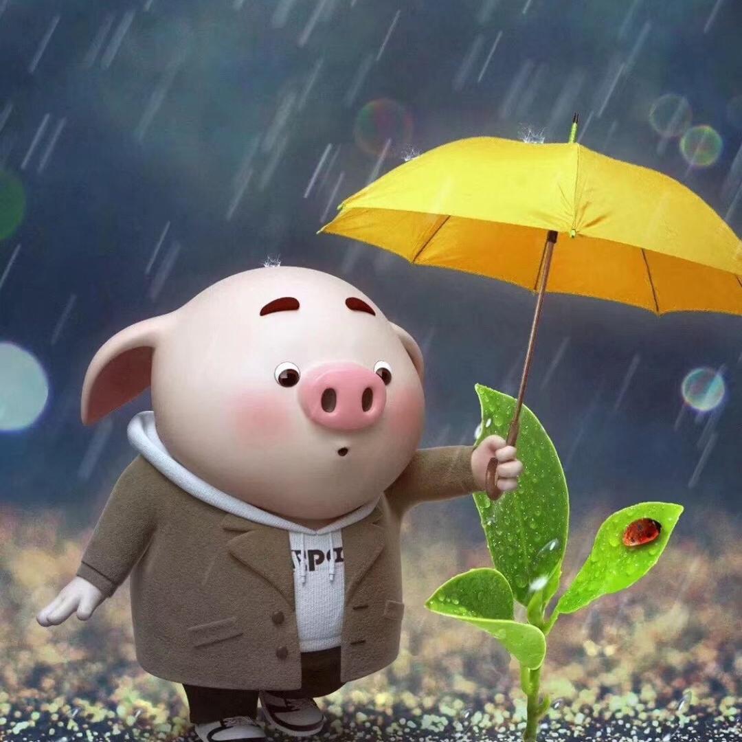 今生只为你守候