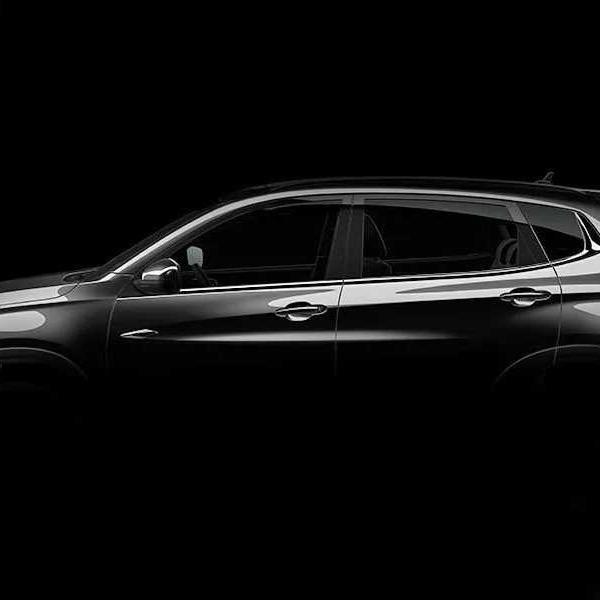 家里有个🐯（虎七）