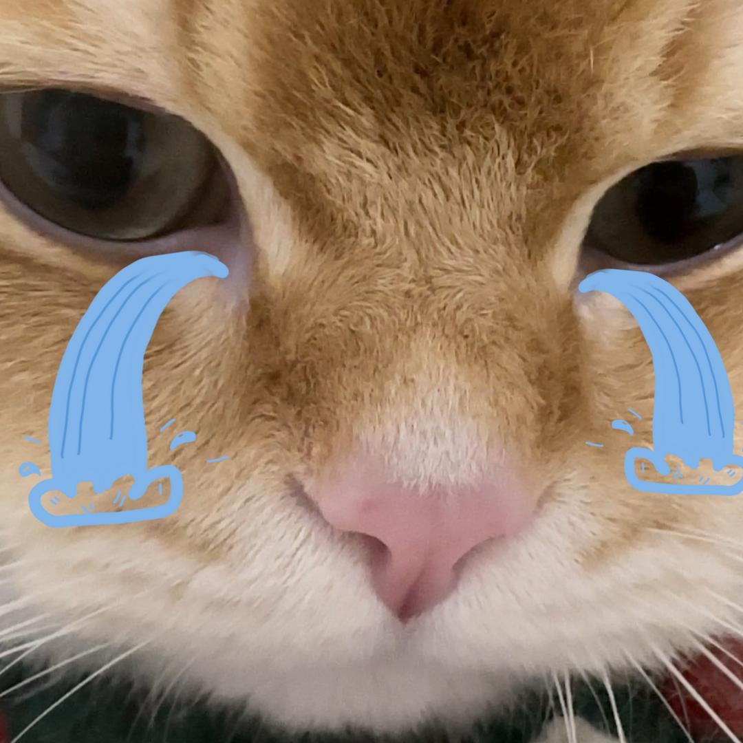 金多点