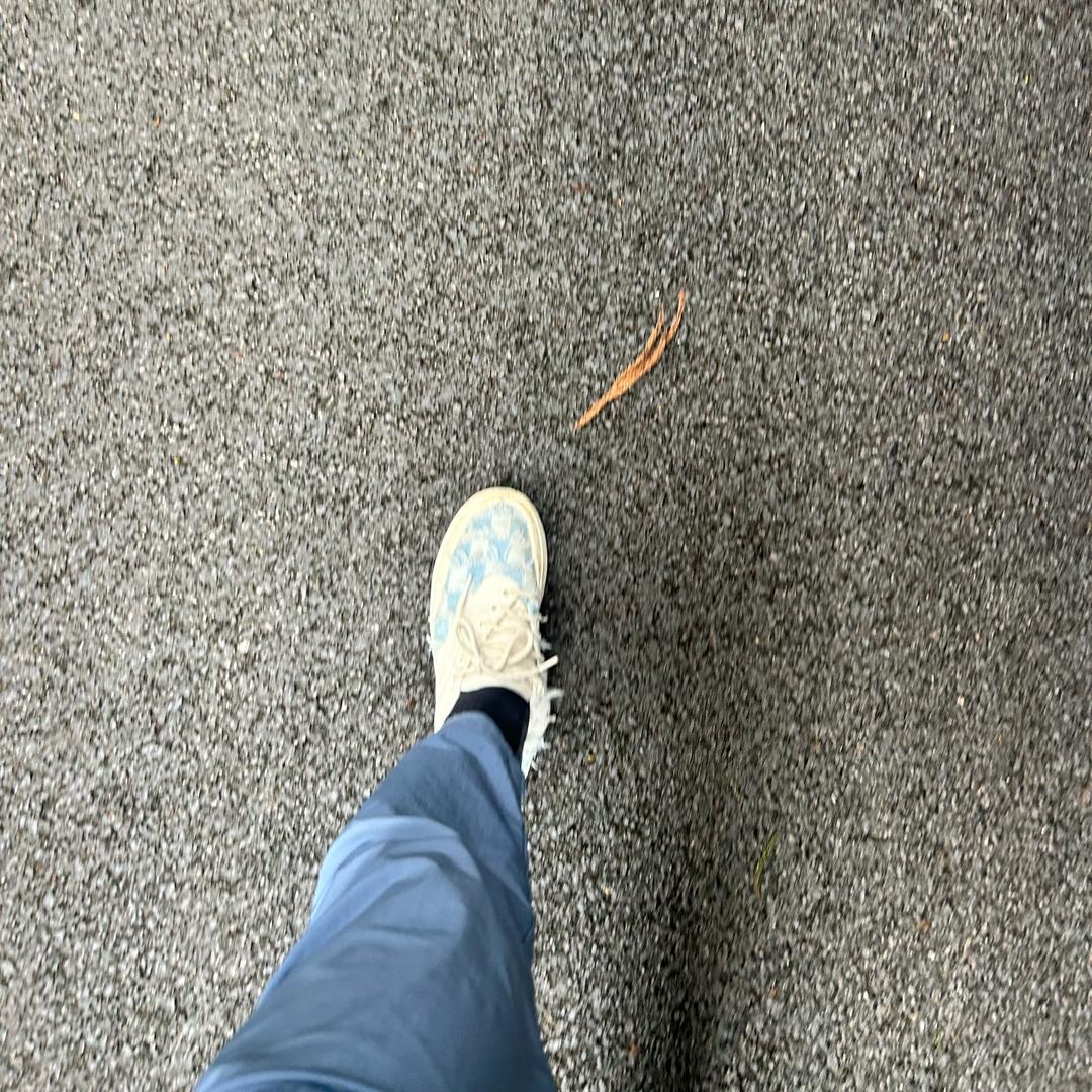 蜂窝黑煤炭