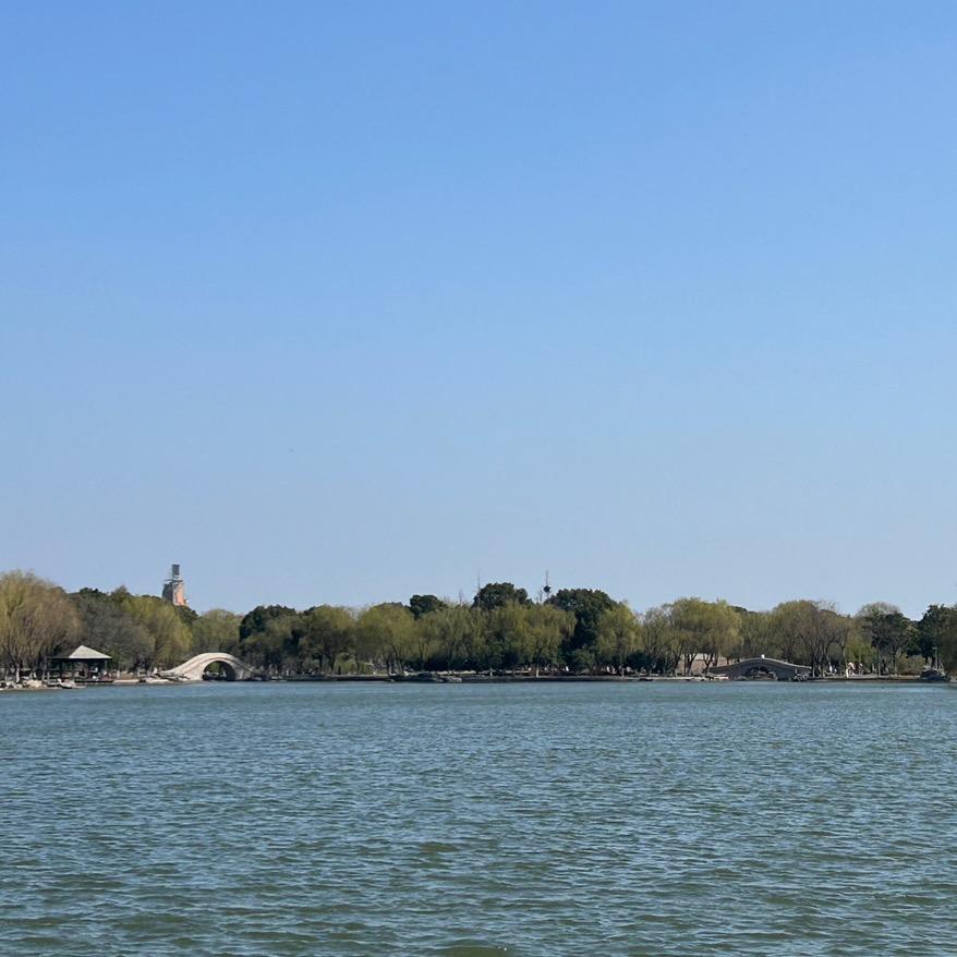 💫自由自在的🌸Tony💫