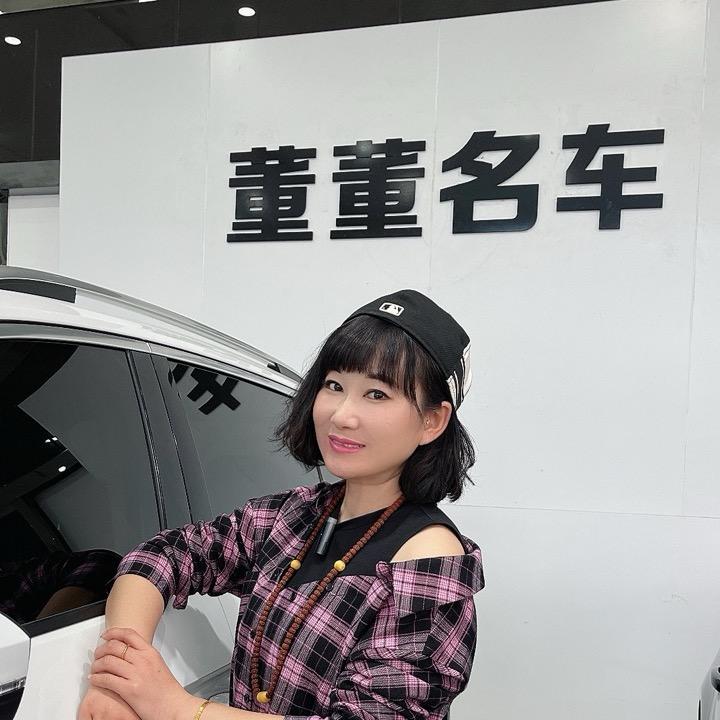 董董二手车销售