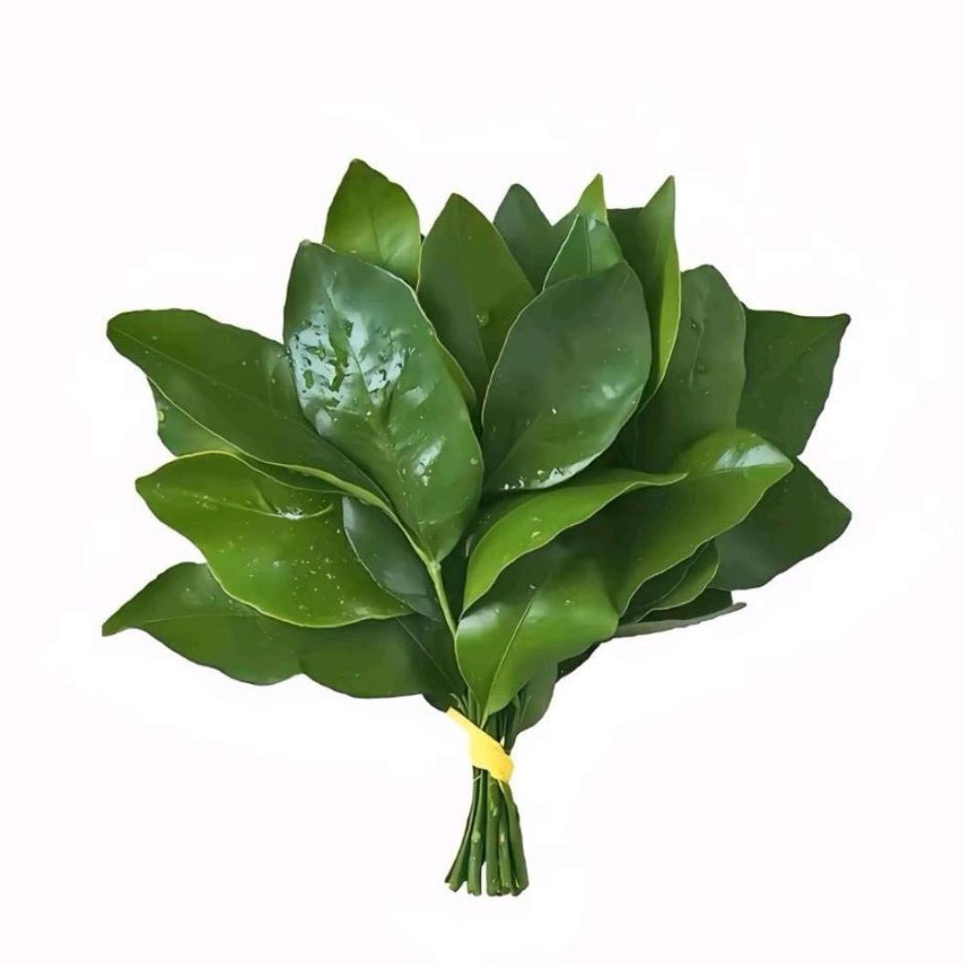 .不将就