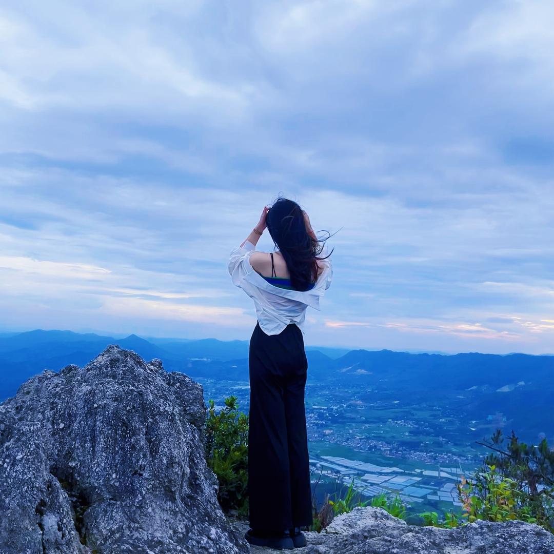 图图不糊涂🐰（打工版）