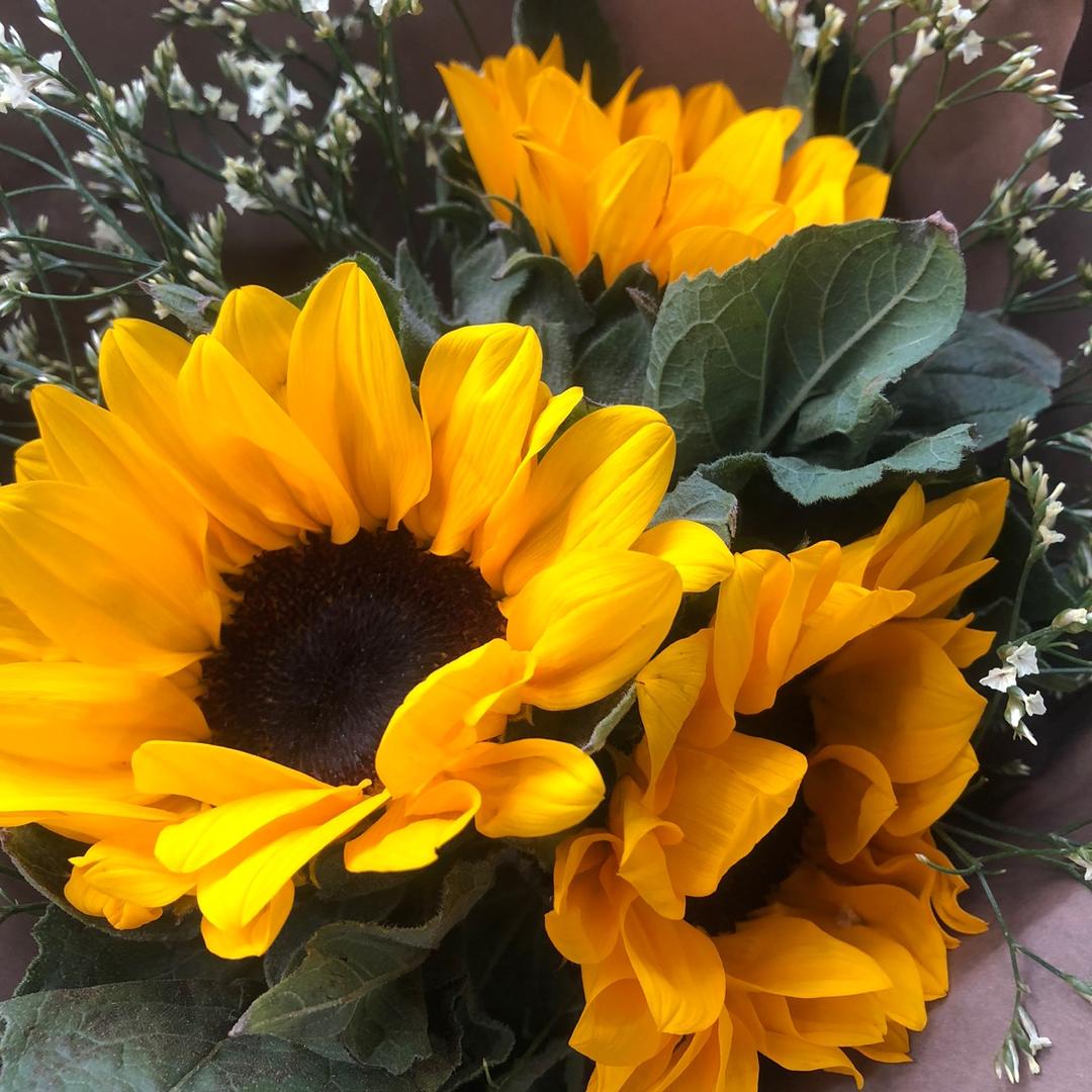 棠美国际轻抗衰