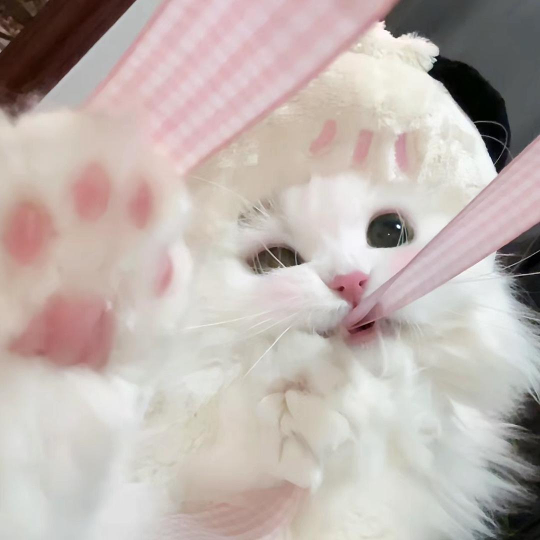 小撒娇