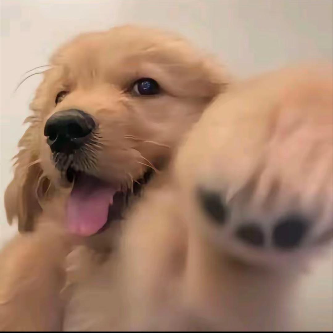 .  ㅤ